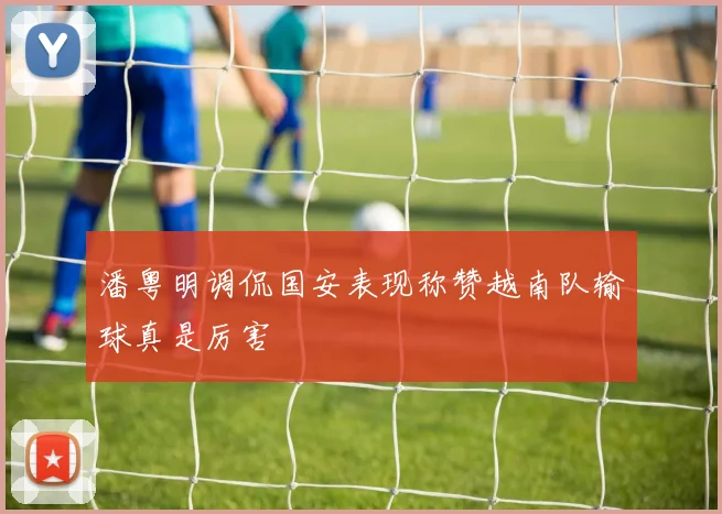 潘粤明调侃国安表现称赞越南队输球真是厉害