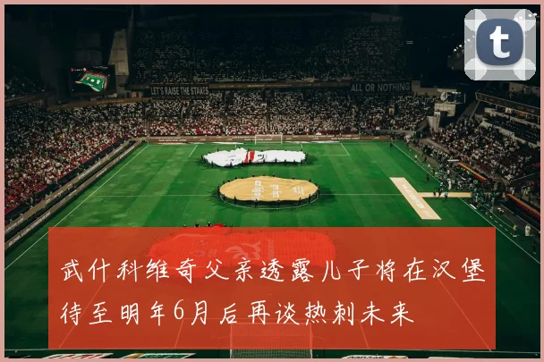 武什科维奇父亲透露儿子将在汉堡待至明年6月后再谈热刺未来